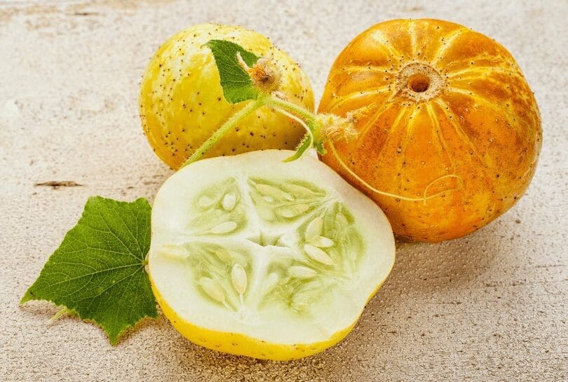 Lemon Cucumber Gardenfrontier Lemon Cucumber