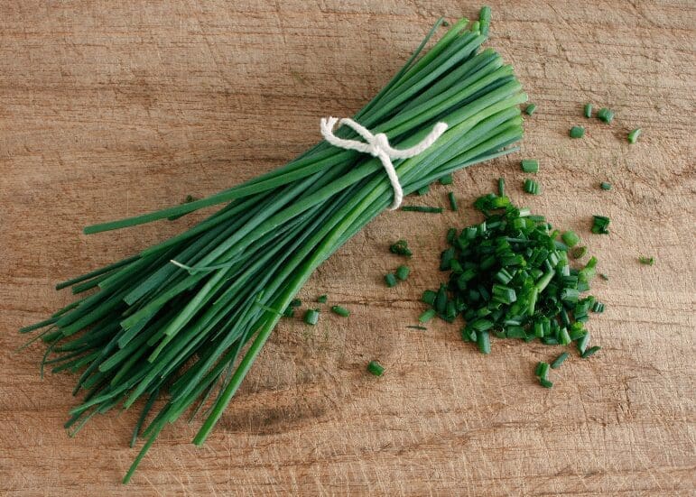 Chive Gardenfrontier Chive