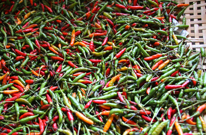 Thai Peppers Gardenfrontier Thai Peppers