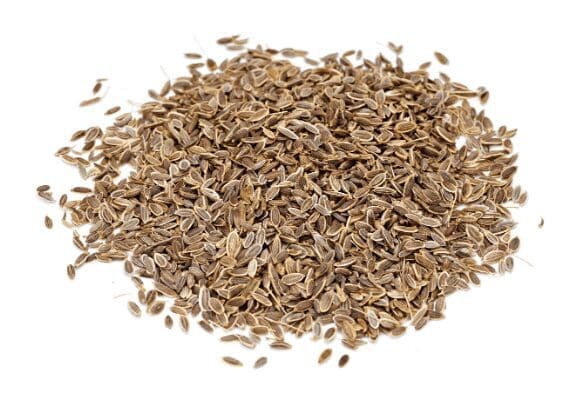 Dill Seeds Gardenfrontier Dill Seeds