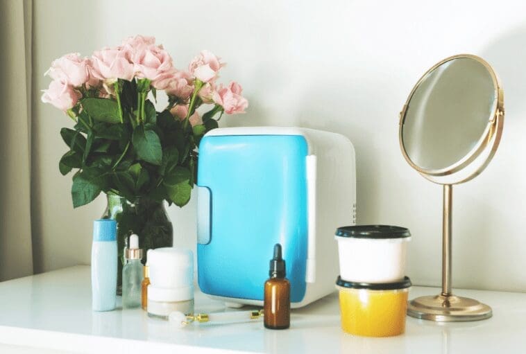 Best Mini Fridges Gardenfrontier Best Mini Fridges
