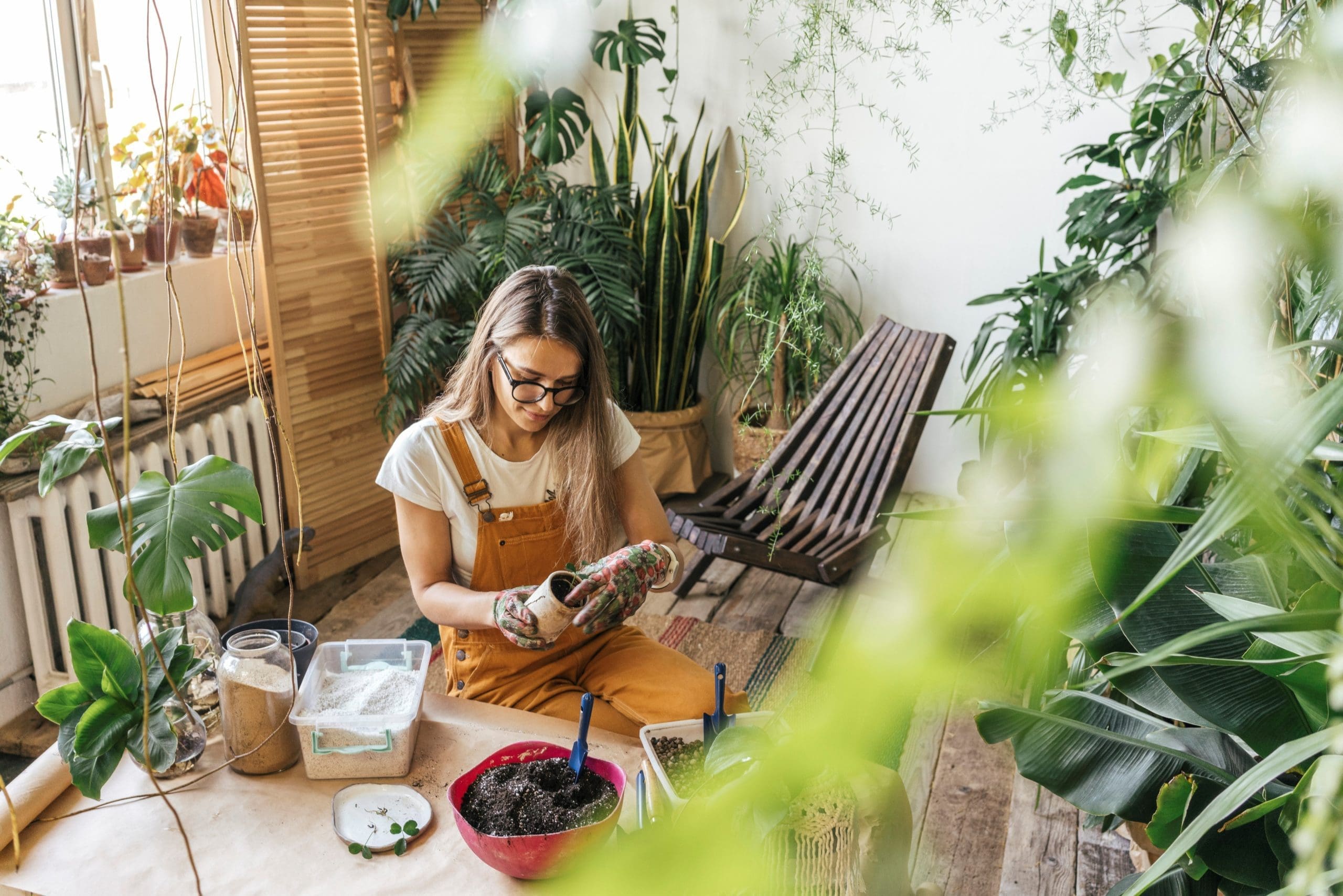 Indoor Growing Systems Gardenfrontier Indoor Growing Systems