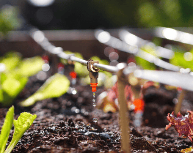 Drip Irrigation System Gardenfrontier Drip Irrigation System
