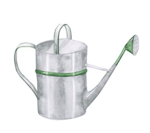 Watering Can Gardenfrontier Watering Can