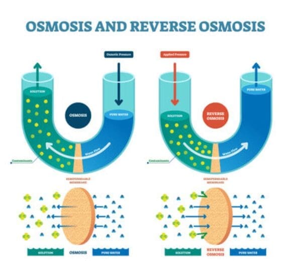Osmosis And Reverse Osmosis Gardenfrontier Osmosis And Reverse Osmosis