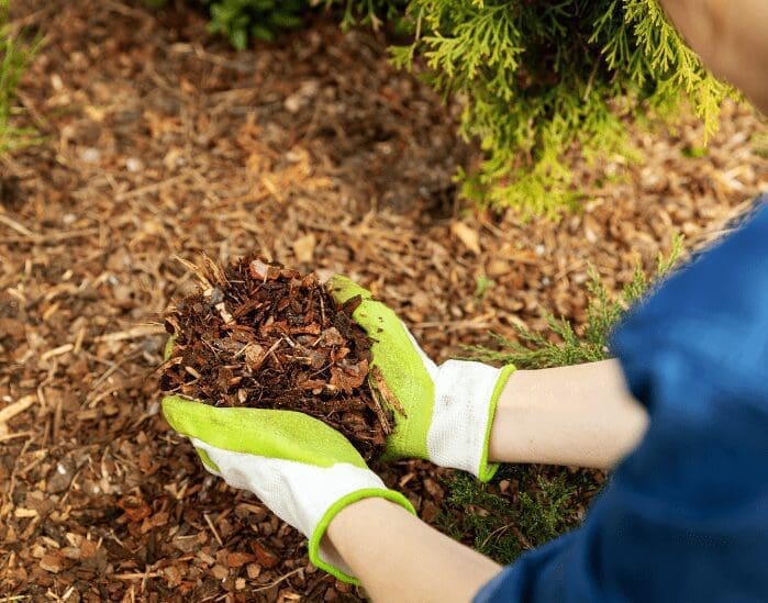 Right Mulch Gardenfrontier Right Mulch
