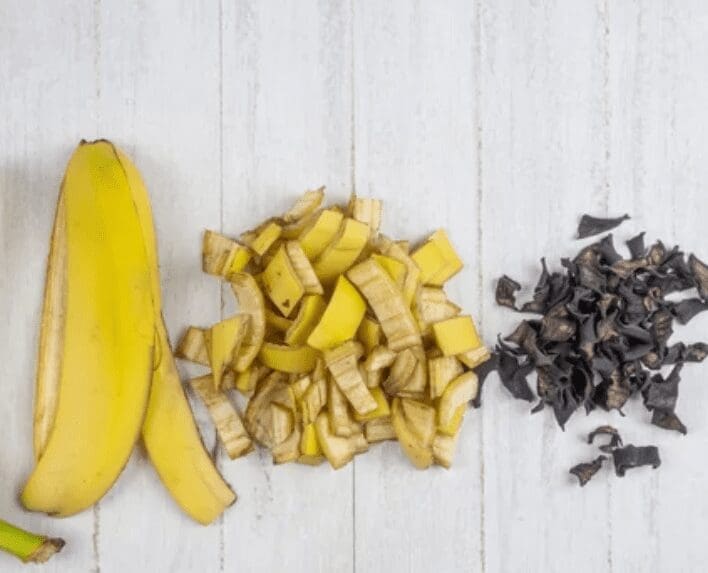 Banana Peel Fertilizer Gardenfrontier Banana Peel Fertilizer