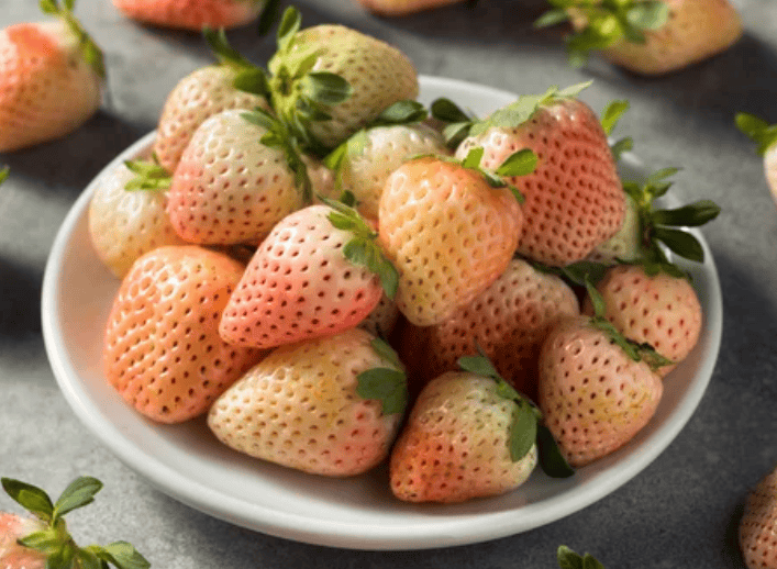 Pineberries Gardenfrontier Pineberries