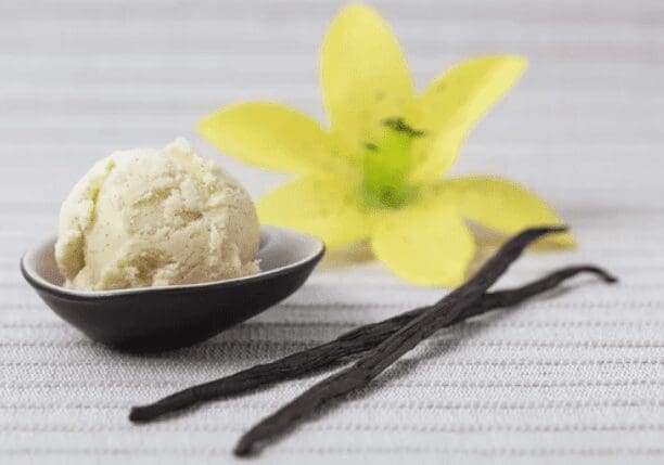 Vanilla Bean Ice Gardenfrontier Homemade vanilla bean ice cream with visible vanilla specks