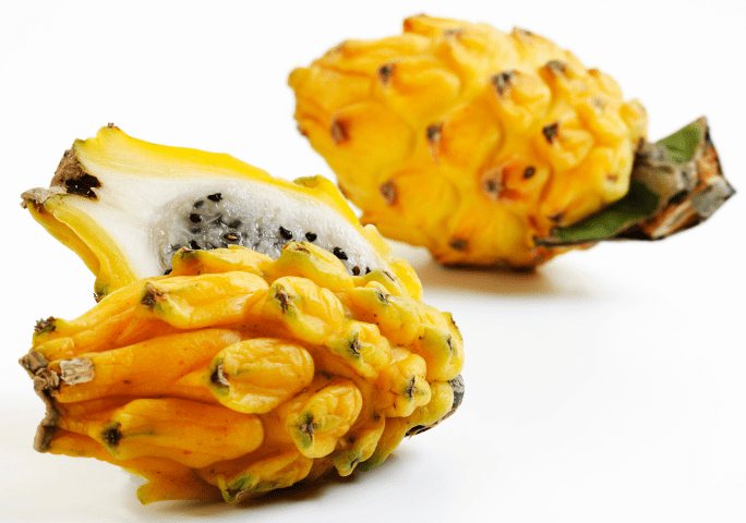 Yellow Dragon Fruit Gardenfrontier Yellow Dragon Fruit