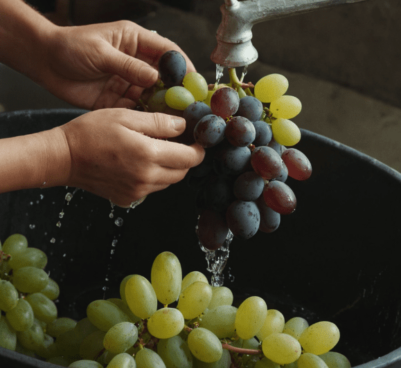 How to Wash Grapes Gardenfrontier How to Wash Grapes