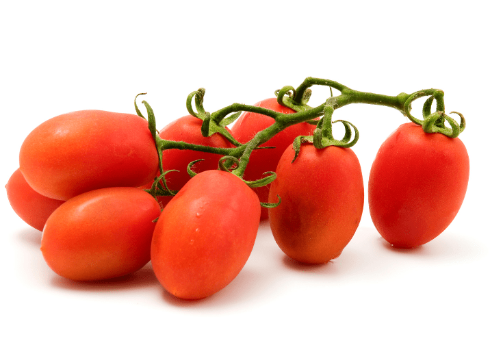 roma tomatoes Gardenfrontier A basket of freshly picked Roma plum tomatoes