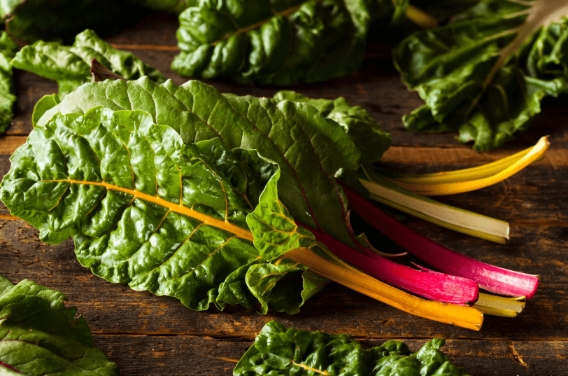 Rainbow Swiss Chard Gardenfrontier Rainbow Swiss Chard