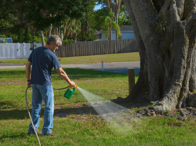 Spruce Weed Killer Application Gardenfrontier Applying Spruce Weed Killer to a healthy green lawn to eliminate broadleaf weeds